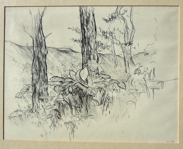 1988 Drawing of trees 19x15